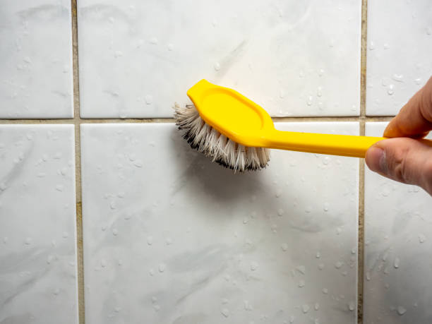 Home Mold Removal in Blue Bell, PA