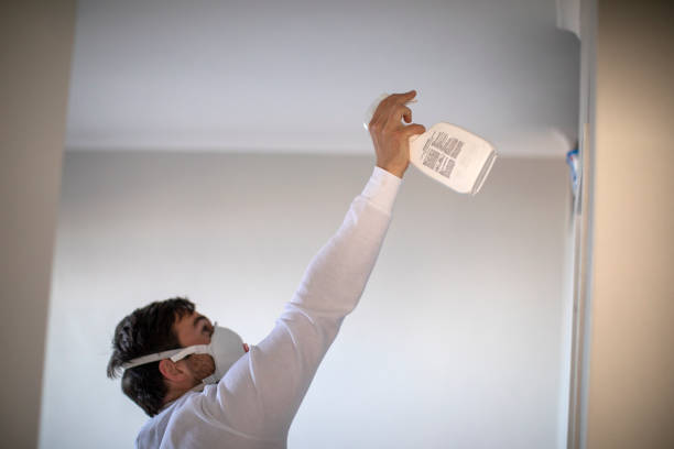 Mold Removal and Inspection in Blue Bell, PA