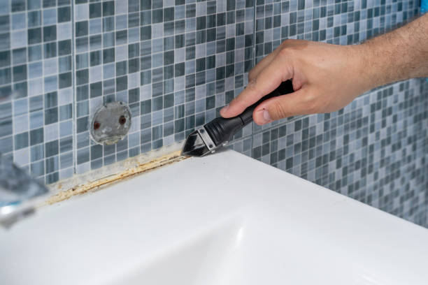 Best Mold Damage Repair  in Blue Bell, PA