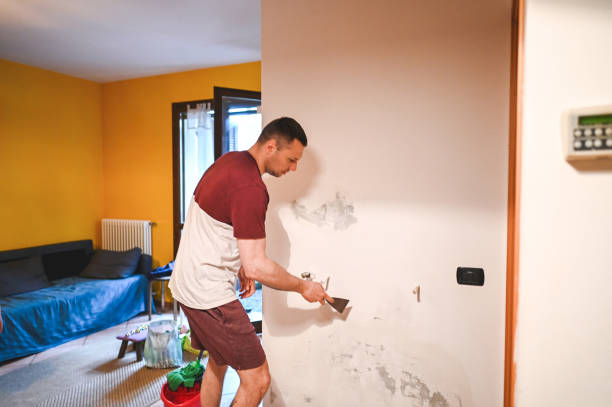 Reliable Blue Bell, PA Mold Removal Solutions